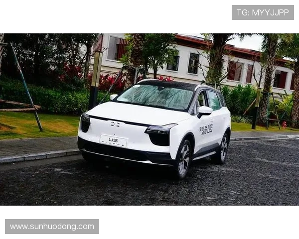 独家解析：WE在行业竞争中的速度优势与挑战全面对比分析