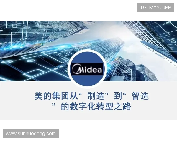 重庆排球队的转型之路揭秘：从传统强队到现代竞技新标杆