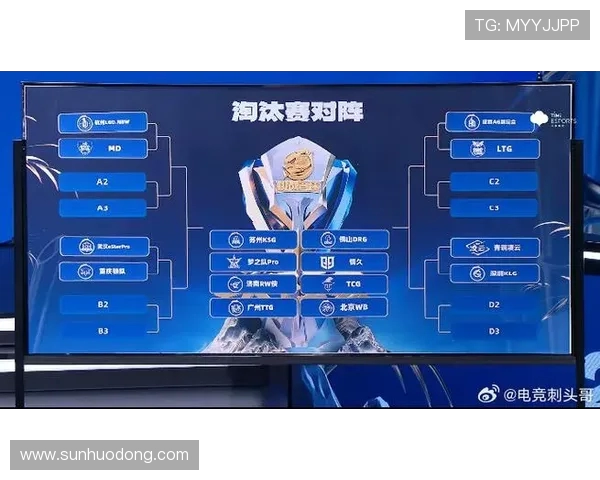 与张丽对话探讨她在王者荣耀中的成长与挑战经历 与张丽对话探讨她在王者荣耀中的成长与挑战经历