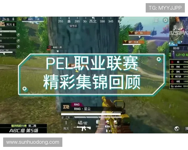 和平精英纪实：探索RNG战队在竞技场上的蜕变与成长之路