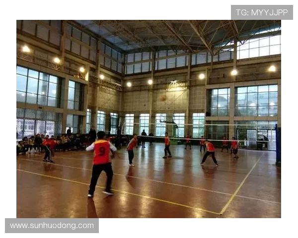 排球心理素质评比揭晓深圳排球队荣登第九名引关注