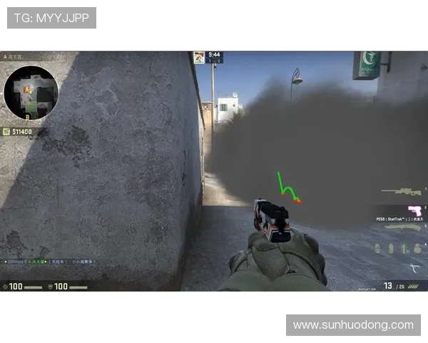 深入分析FPX在CSGO中的区域防守策略与战术布局
